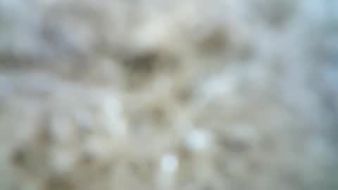 Lilu online show from March 27, 11:22 am