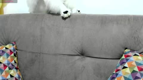 antonia online show from March 4, 9:51 am