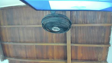 Candy online show from November 21, 6:10 pm