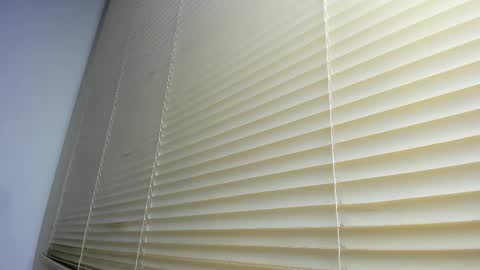 _molly_rosse_ online show from December 5, 12:17 pm