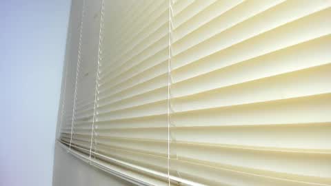 _molly_rosse_ online show from November 12, 11:52 am