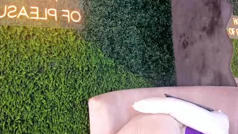 A B B Y online show from February 18, 11:55 am