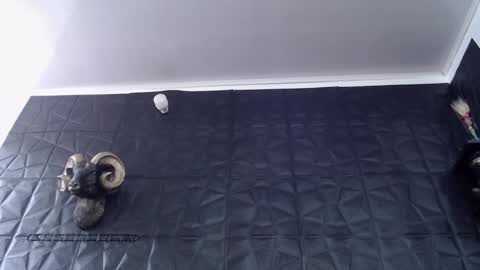  Miss Agata  online show from February 24, 6:28 pm