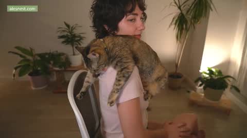 Ale online show from February 28, 11:15 pm