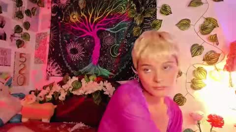 Alex online show from February 8, 3:00 pm