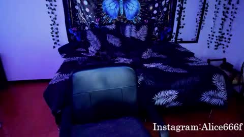 ALiCE ROSE online show from February 11, 4:08 pm