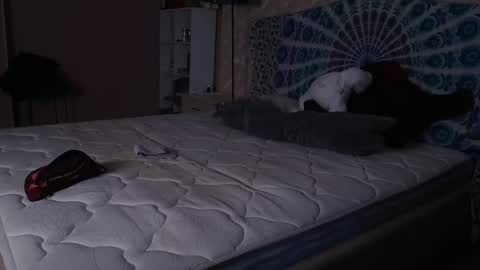 Alice love fuck online show from February 13, 9:30 am