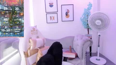 alicia online show from December 4, 4:48 am