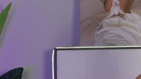 Stefa online show from July 18, 5:55 am