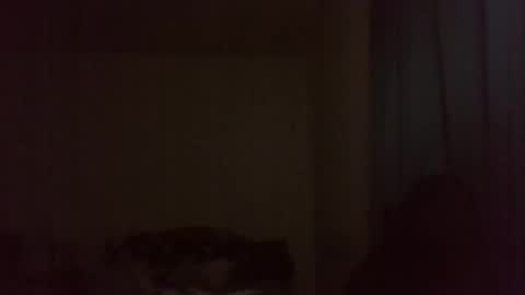 ally12334 online show from February 20, 2:54 am