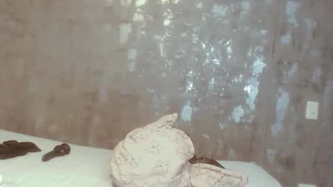 ameli online show from December 28, 3:37 pm