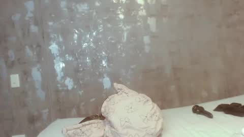 ameli online show from December 28, 3:37 pm