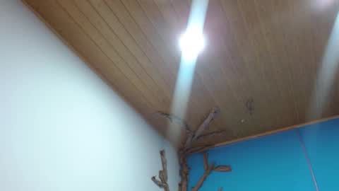 Andre online show from February 3, 2:53 am