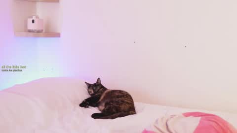 Angel online show from March 18, 3:28 pm