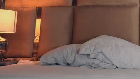 angelinepossy online show from September 8, 10:20 pm