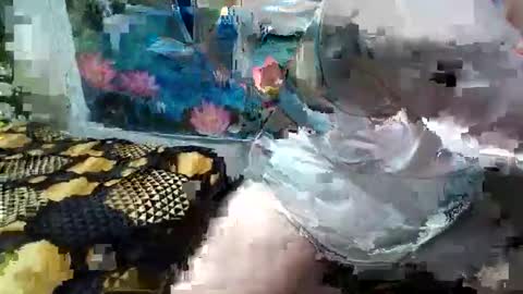 AnnaxGoldX online show from October 19, 6:26 am