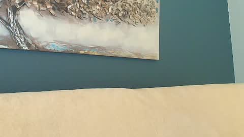 anne_blueeyes online show from June 26, 8:54 pm
