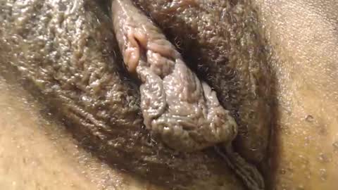 Anny online show from November 18, 11:00 am