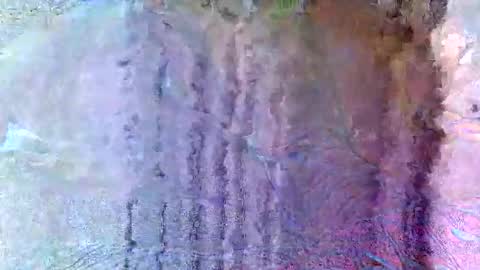 asainobedientslut12 online show from November 30, 2:49 am