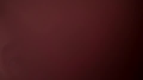 Ashley online show from November 4, 11:15 am