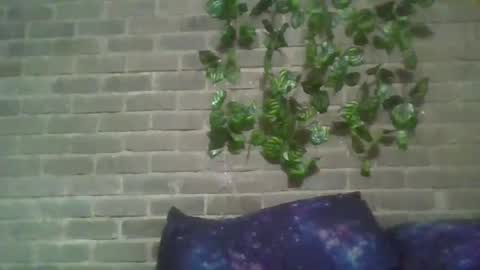 Chaterlain online show from March 10, 11:55 am