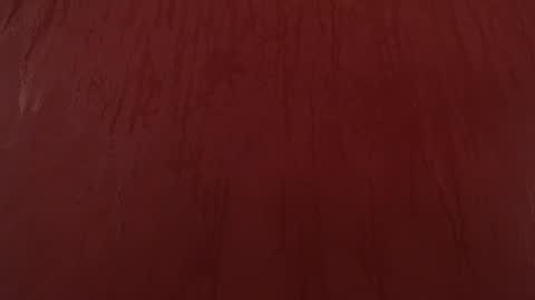 bayonette_black online show from November 30, 7:29 pm