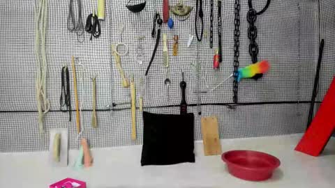 Meduza  online show from December 15, 11:37 am