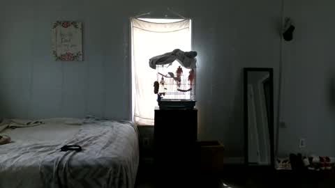 Beautybomb 34 online show from February 22, 5:09 pm