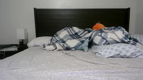 Queen Lola XXX online show from December 22, 5:54 am