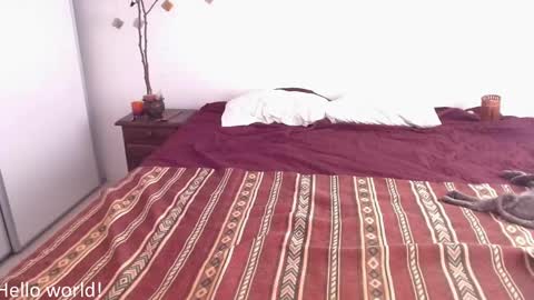 Mira  online show from January 23, 6:24 pm