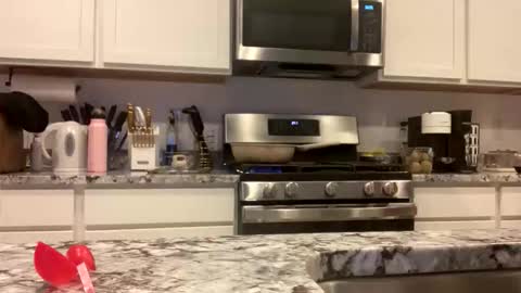 Buns Bunny Princess online show from March 1, 9:42 am