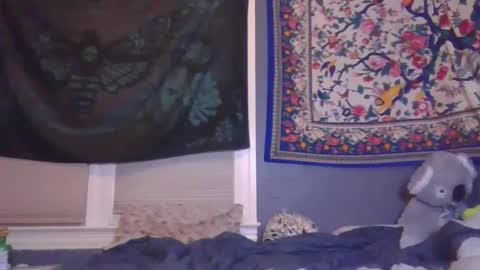 lilly online show from February 6, 6:40 am