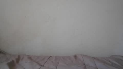 Carla Maria  online show from May 26, 11:42 am