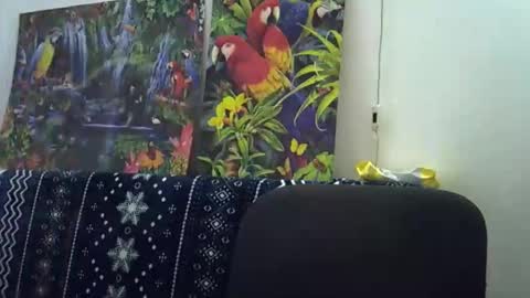 Cassandra online show from January 15, 2:23 pm