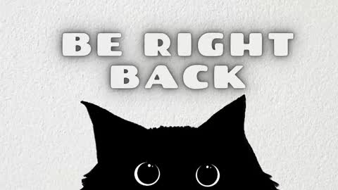 ANNY online show from February 1, 3:38 am