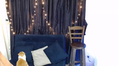 Sofi online show from September 13, 4:42 am