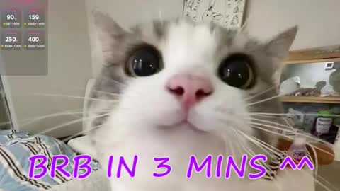 Sonya online show from December 2, 11:29 pm