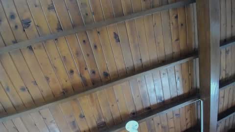 dafne_hillss online show from September 27, 2:02 pm