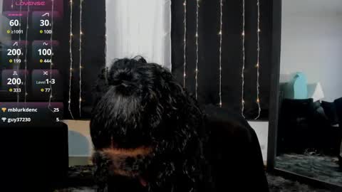 Dakota online show from January 18, 2:25 am