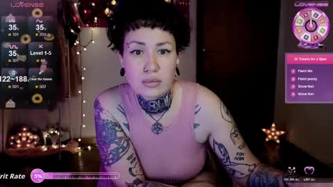 Dakota online show from November 15, 3:40 am