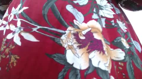 dalia dubey online show from March 1, 10:24 am