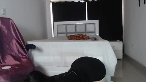 Dayana  online show from March 8, 8:24 pm