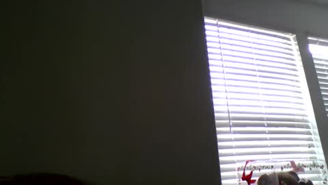 Your Wet Dream NEW Tight online show from February 23, 11:04 pm