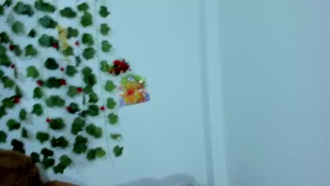 Dani  online show from July 21, 4:46 am