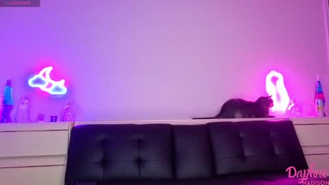 Daphne Madison online show from November 21, 11:18 pm