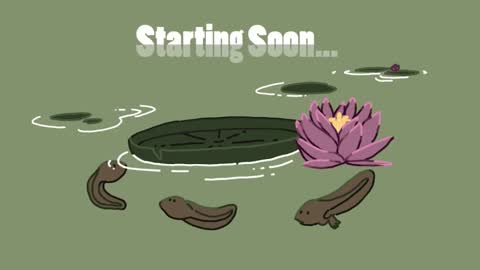 diana online show from December 26, 6:43 pm