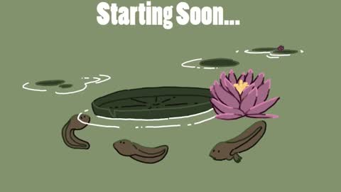 diana online show from January 19, 1:44 pm