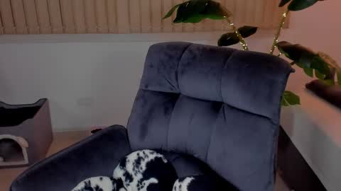 Hii Dont forget to follow me . online show from November 15, 4:35 am