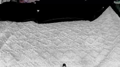 DOOM online show from March 6, 7:32 pm