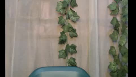 linda online show from September 29, 12:21 pm